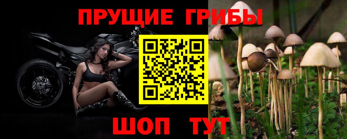 Галлюциногенные грибы прущие грибы Городец